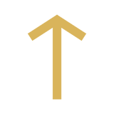 The Teiwaz rune